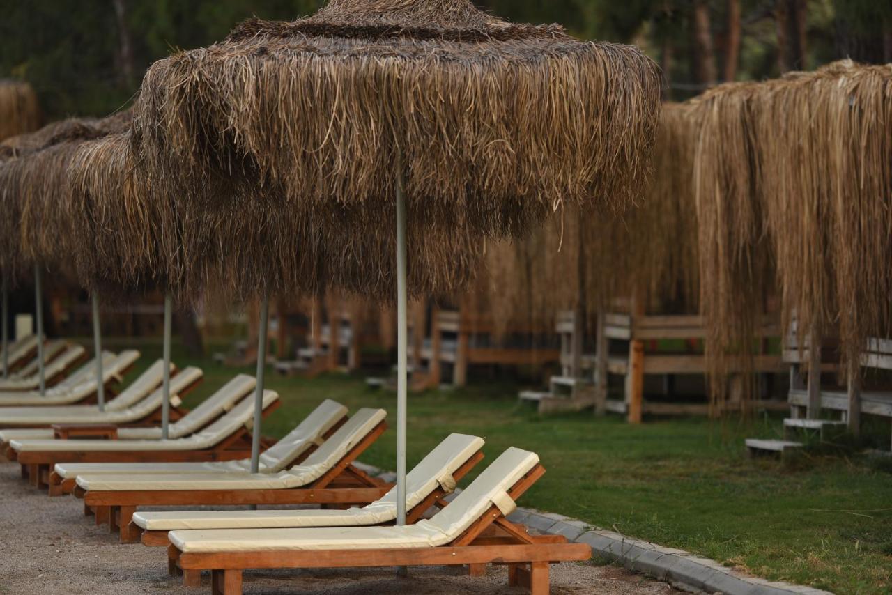 Green Pine Bungalows & Beach Luxury Concept Ölüdeniz Esterno foto