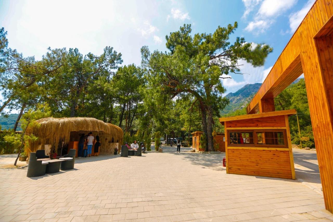 Green Pine Bungalows & Beach Luxury Concept Ölüdeniz Esterno foto