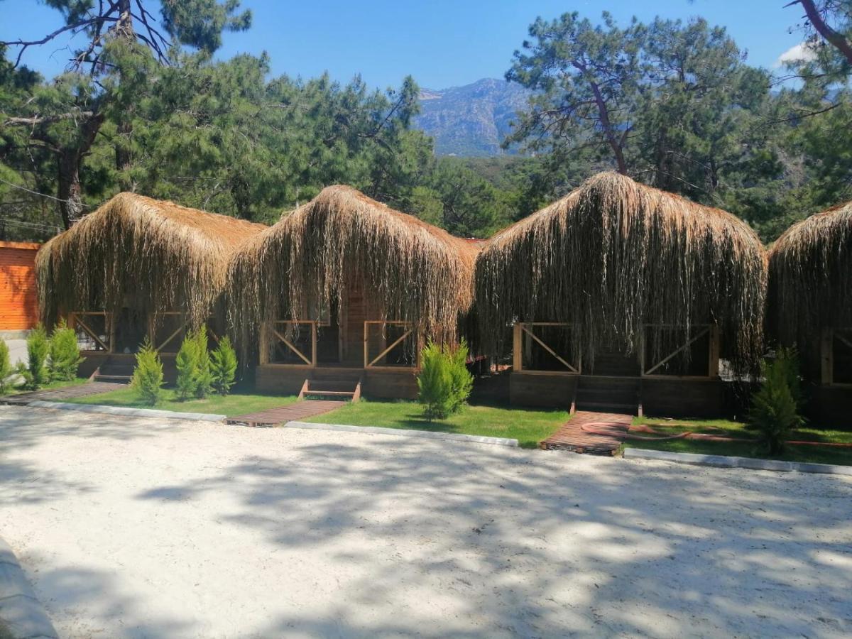 Green Pine Bungalows & Beach Luxury Concept Ölüdeniz Esterno foto