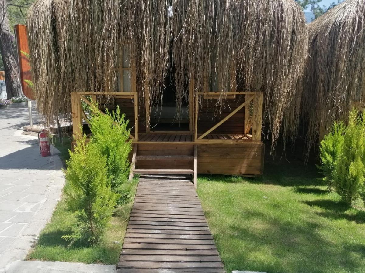 Green Pine Bungalows & Beach Luxury Concept Ölüdeniz Esterno foto