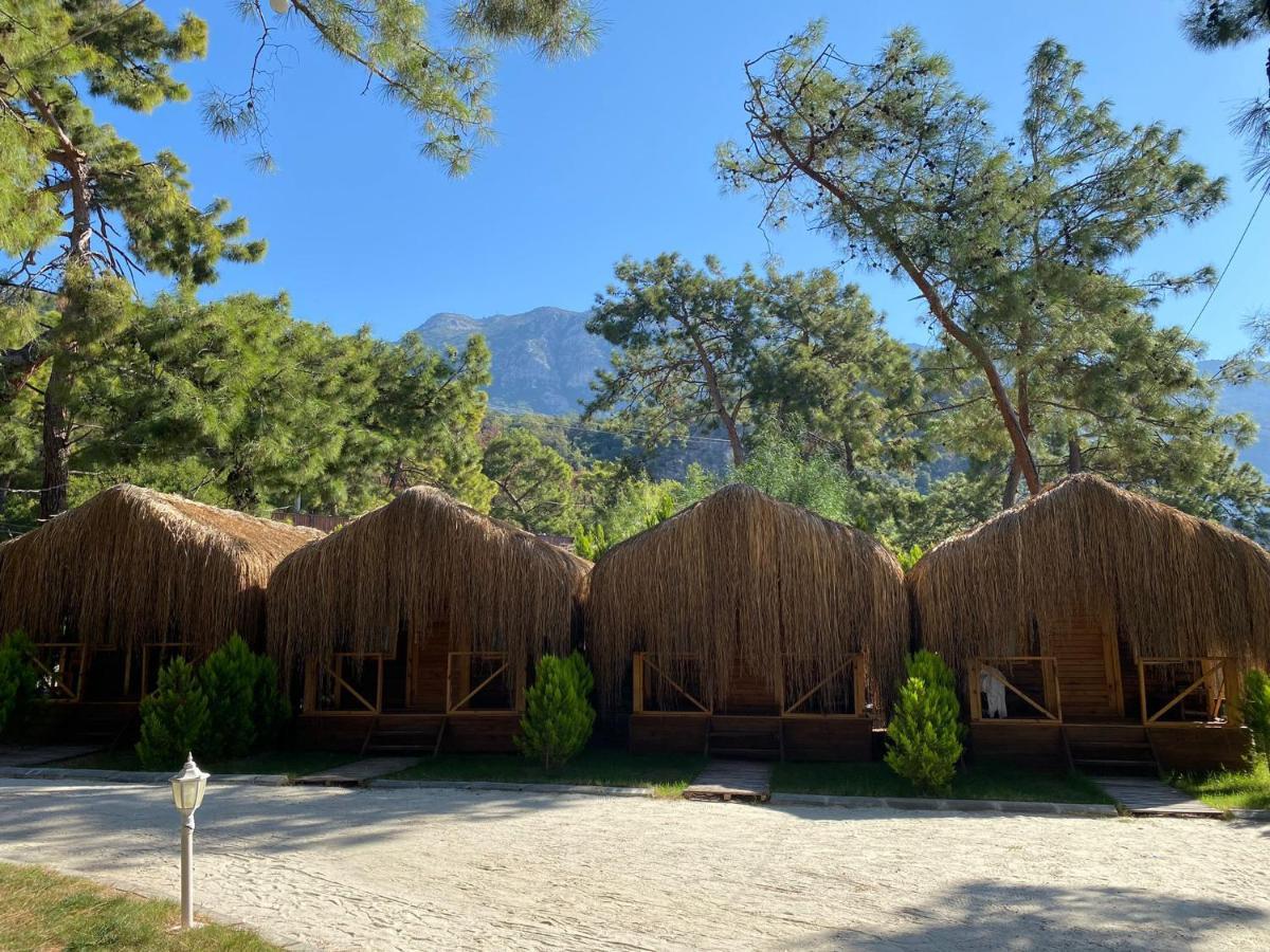 Green Pine Bungalows & Beach Luxury Concept Ölüdeniz Esterno foto